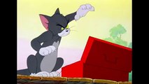 Tom & Jerry  Summer Fun! توم وجيري متعة الصيف! ☀️🧺 ساعه كامله مع  الضحك  @wbkids​