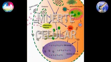 No Queda Piedra Sobre Piedra Del Gobierno Infernal Del Anticristo. Parte 3.
