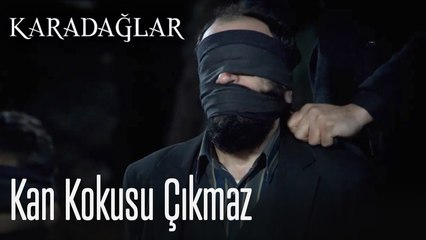 Kan kokusu çıkmaz - Karadağlar