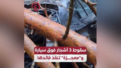 سقوط 3 أشجار فوق سيارة و"معجزة" تنقذ قائدها