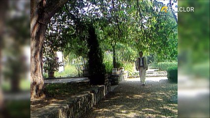 Traian Jurchela - Cat ii Carasul de mare (arhiva TVR)