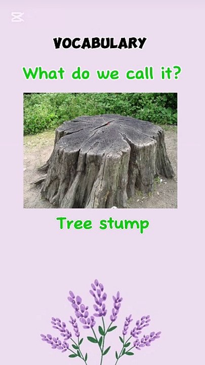 Wood Vocabulary | Learn English