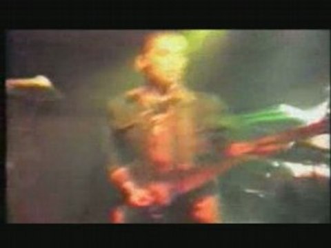 La Souris Déglinguée concert sur le dvd des 25 ans