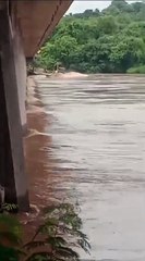 Vídeos mostram balsa enroscada após choque na ponte da PR-317