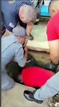 Bombeiros resgatam cachorrinho cego após três dias preso em tubulação