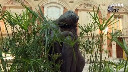 Musei in Musica, l'apertura straordinaria al pubblico del Senato