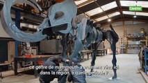 Un Mammouth au musée du Malgré-Tout à Treignes