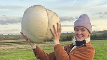 Woman finds 11lb mushroom - which feeds family for a week