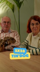 Tin'Dog (S5-E28)