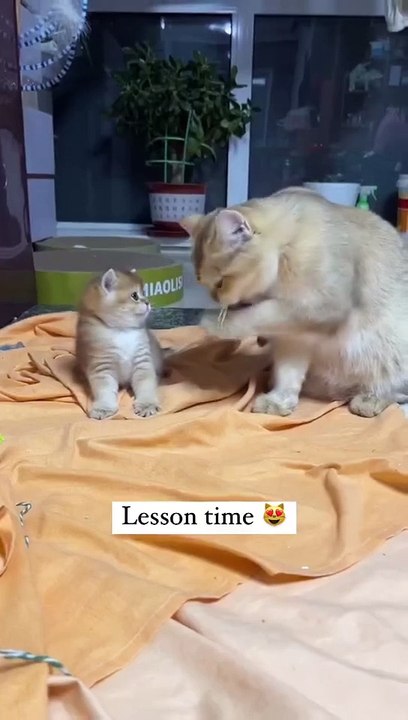 Lesson Time