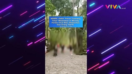 Teriakan Wisatawan Saat Pohon di Ubud Tumbang