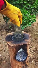 Person makes tea in a glass bottle on a Swedish log fire!