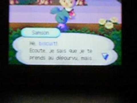 Ma ville pleins de fleurs d'Animal crossing !!!