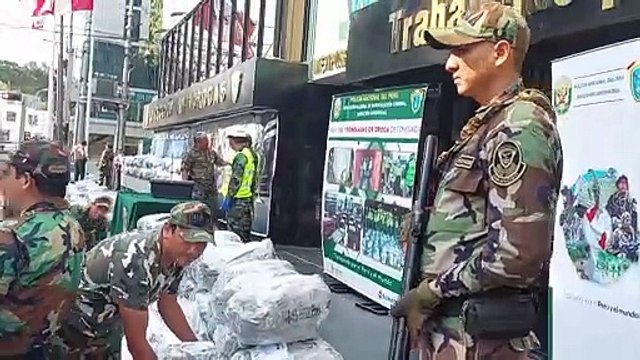 Peru erradica mais de 25 mil hectares de cultivos de coca que iriam para o narcotráfico