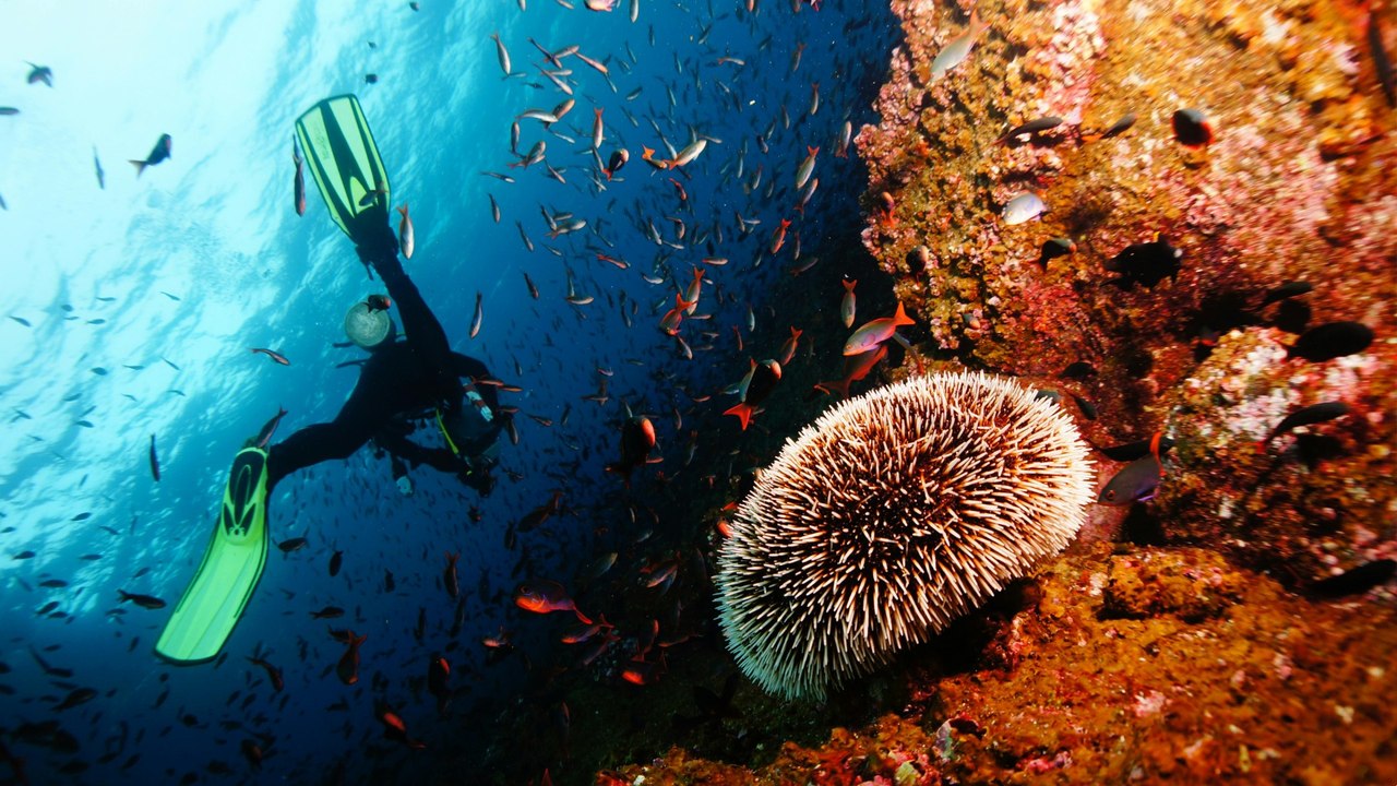Científico ecuatoriano promueve la descontaminación de las Islas Galápagos