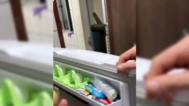 Empresário se surpreende com ovos 'chocando' na geladeira