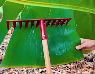 Crafting with the wild! Transforming natural materials into art!