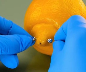 The art of the needle! Exploring different piercing techniques!