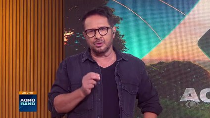 Cotação da arroba do boi cai após recorde