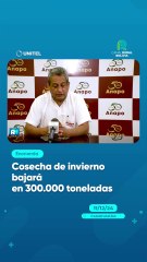 Cosecha de invierno bajará en 300.000 toneladas