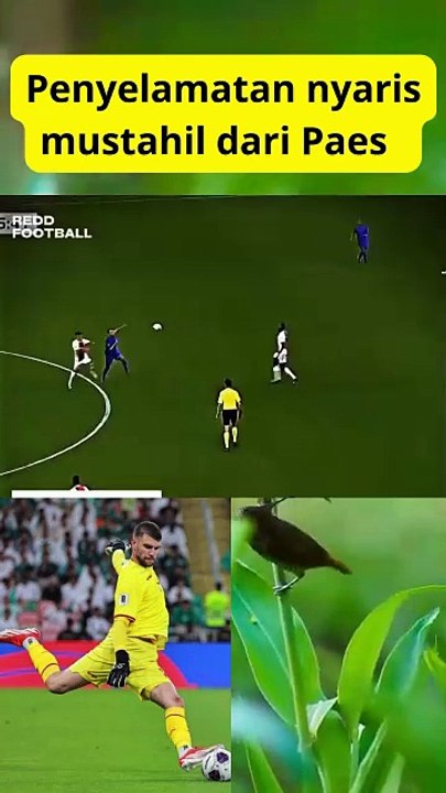 3 Penyelamatan bola  nyaris mustahil dari Marrten Paes#timnas#paes#fifa#pssi