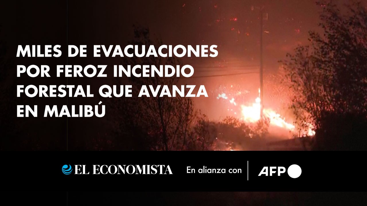 Miles de evacuaciones por feroz incendio forestal que avanza en Malibú