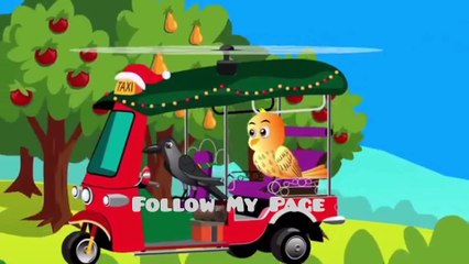 Part 3 Chidiya Ke Bache Ghar Chor Ke Chale Ge | Chidiya Wala Cartoon | Tuni Achi Cartoon | Hindi Kahani