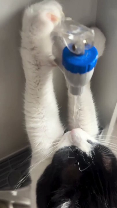 He is Thirsty
