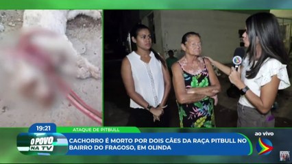 Cachorro é morto após sofrer ataque de dois pitbulls