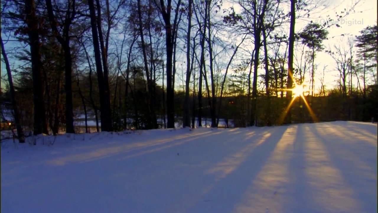 Máximo solar pode ser apenas o começo de um período de grande risco para a Terra