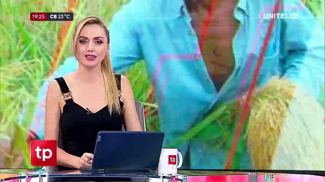 Ingenios arroceros de Montero ratifican paro para este miércoles y exigen seguridad jurídica