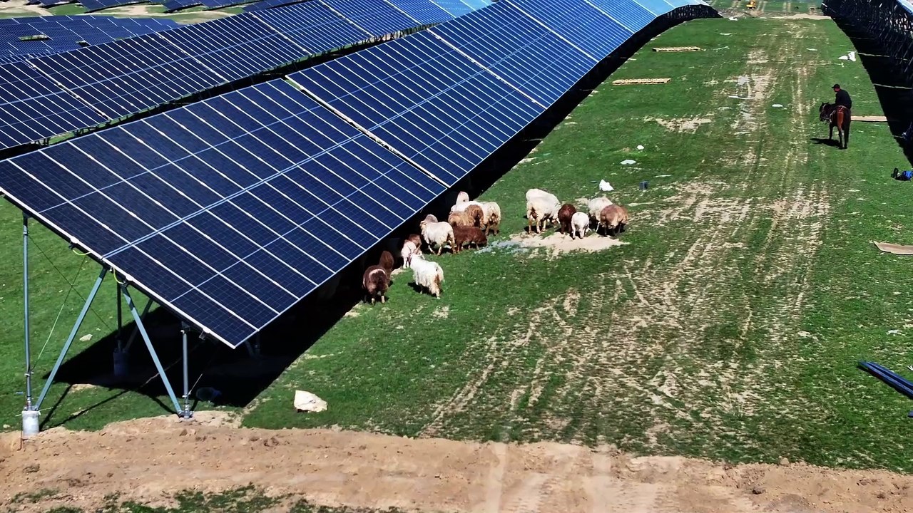 Asia's Largest Wind-Solar Integrated Renewable Energy Project