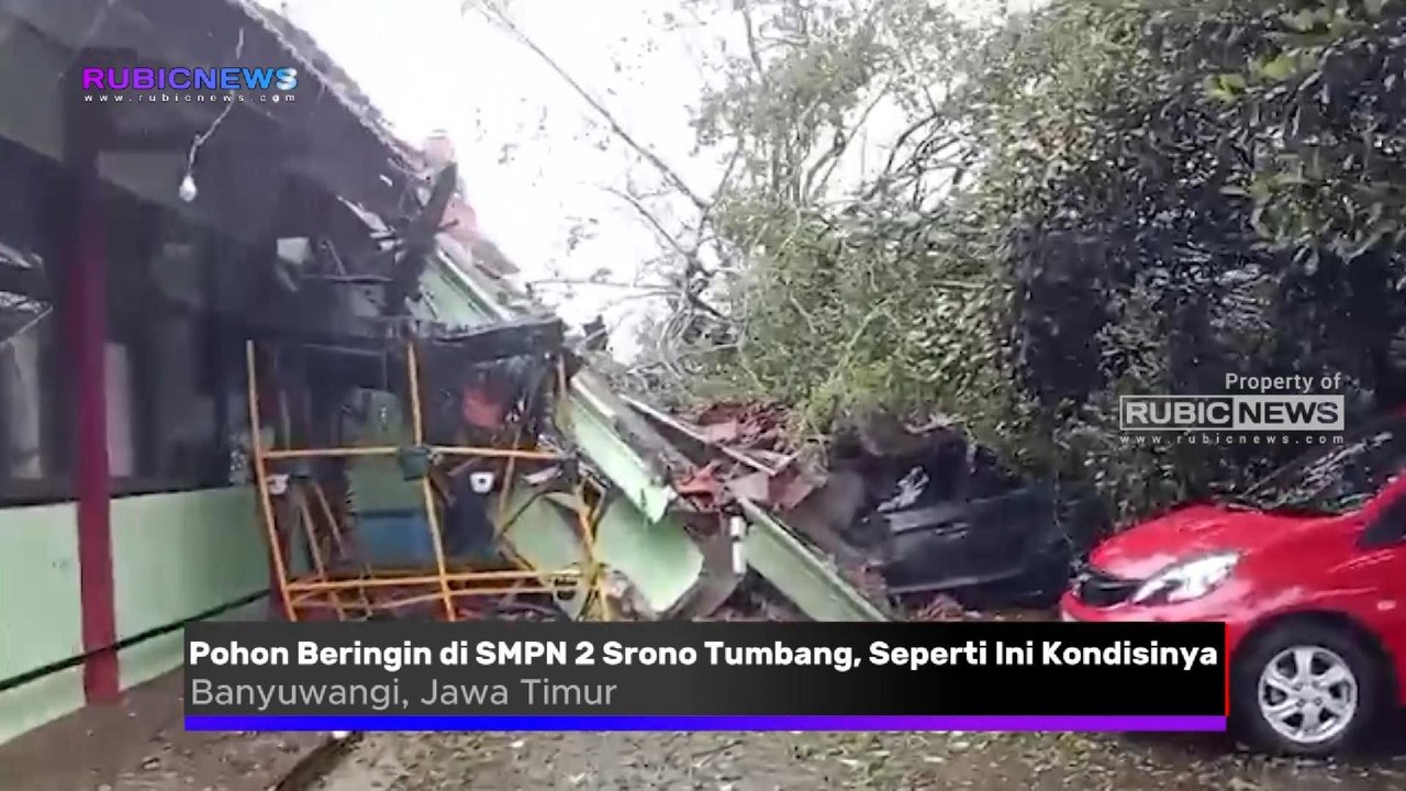 Pohon Beringin di SMPN 2 Srono Tumbang Timpa Ruang Tunggu dan Mobil Kepala Sekolah, Seperti Ini Kondisinya