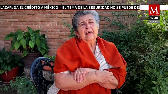 EU declara a la mariposa monarca como especie amenazada | Milenio Hábitat