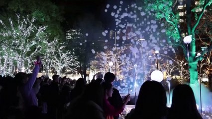 Residents and visitors rejoice as Tokyo lights up for Christmas