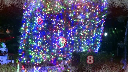 Micro navideño: Hospital Nacional de Niños