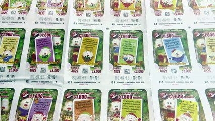 Micro navideño: Lotería navideña