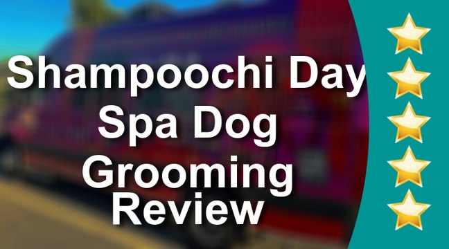 Shampoochi Day Spa Mobile Grooming 5 star Review.