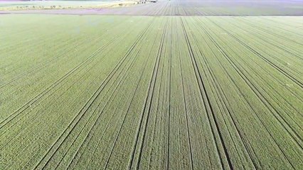 Ashley Downs, Breeza, NSW | December 11, 2024 | Farmonline