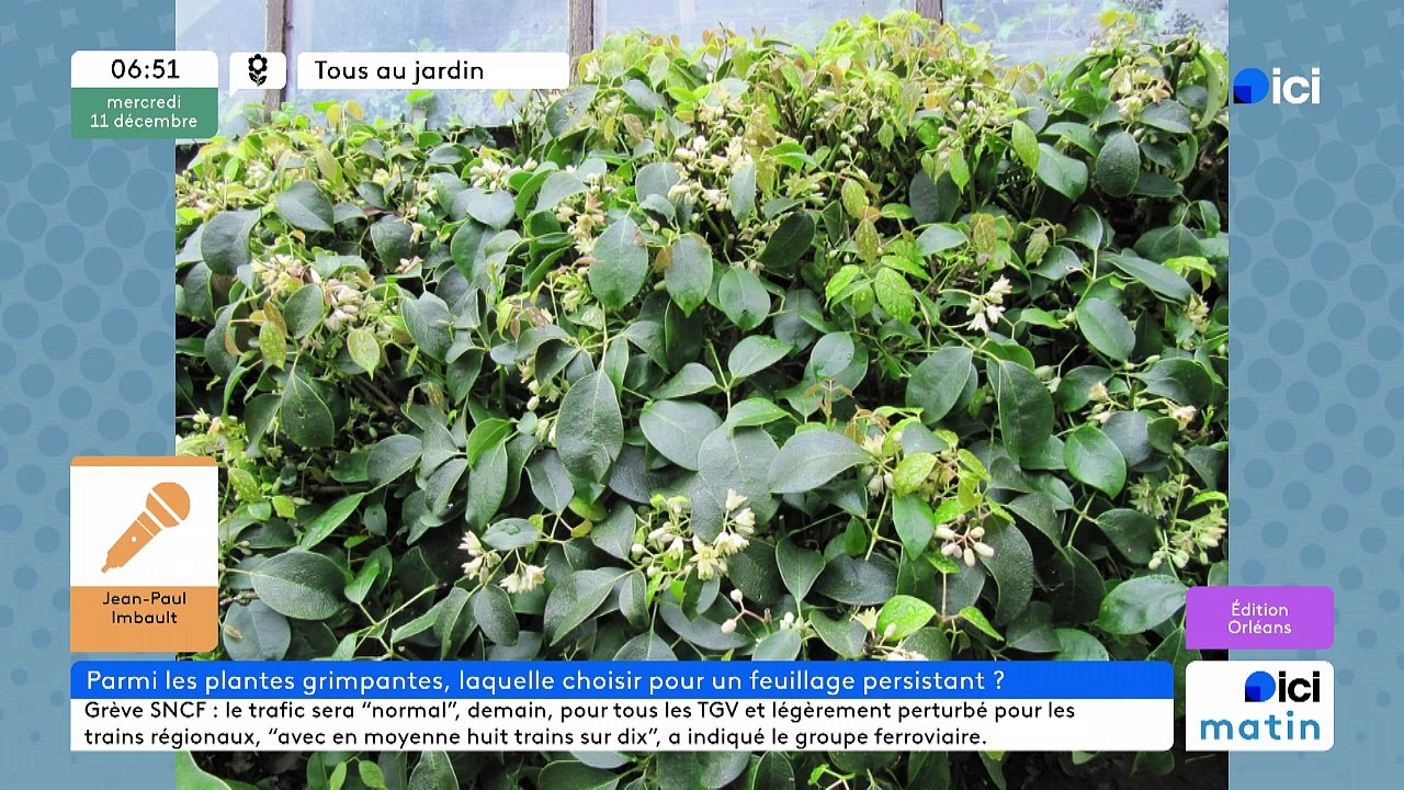 11/12/2024 - ICI Matin France Bleu Orléans en vidéo