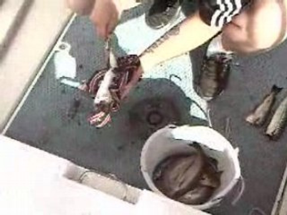 Boulou a pecher un monstre (Une Vielle lol :p) Belle prise!!