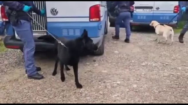 Blitz anti-droga a Bologna: 22 arresti