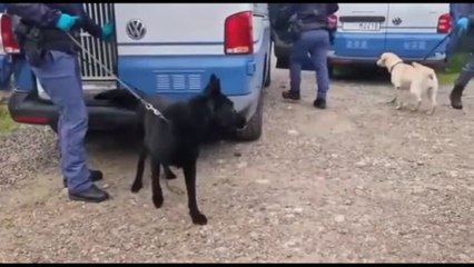 Blitz anti-droga a Bologna: 22 arresti