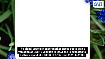 The Rise of Specialty Paper A Sustainable Solution for Modern Industries