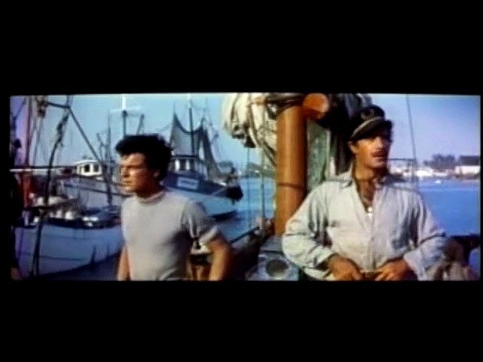 Beneath the 12 Mile Reef