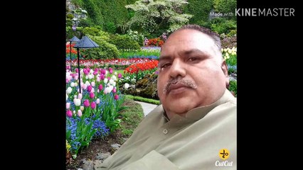 Pakistan Muslim League Non || New Songs 2019 | Farmaish Sardar Mumtaz Ahmad || Song By Yousuf Khan Hazara