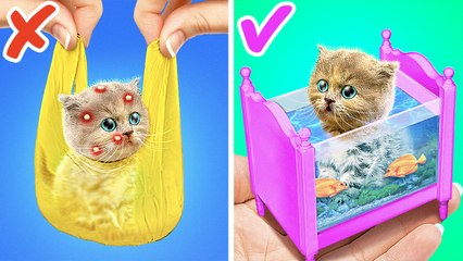 What's in the Sand 💩😺🐟 DIY Shell Cat Paw Necklace