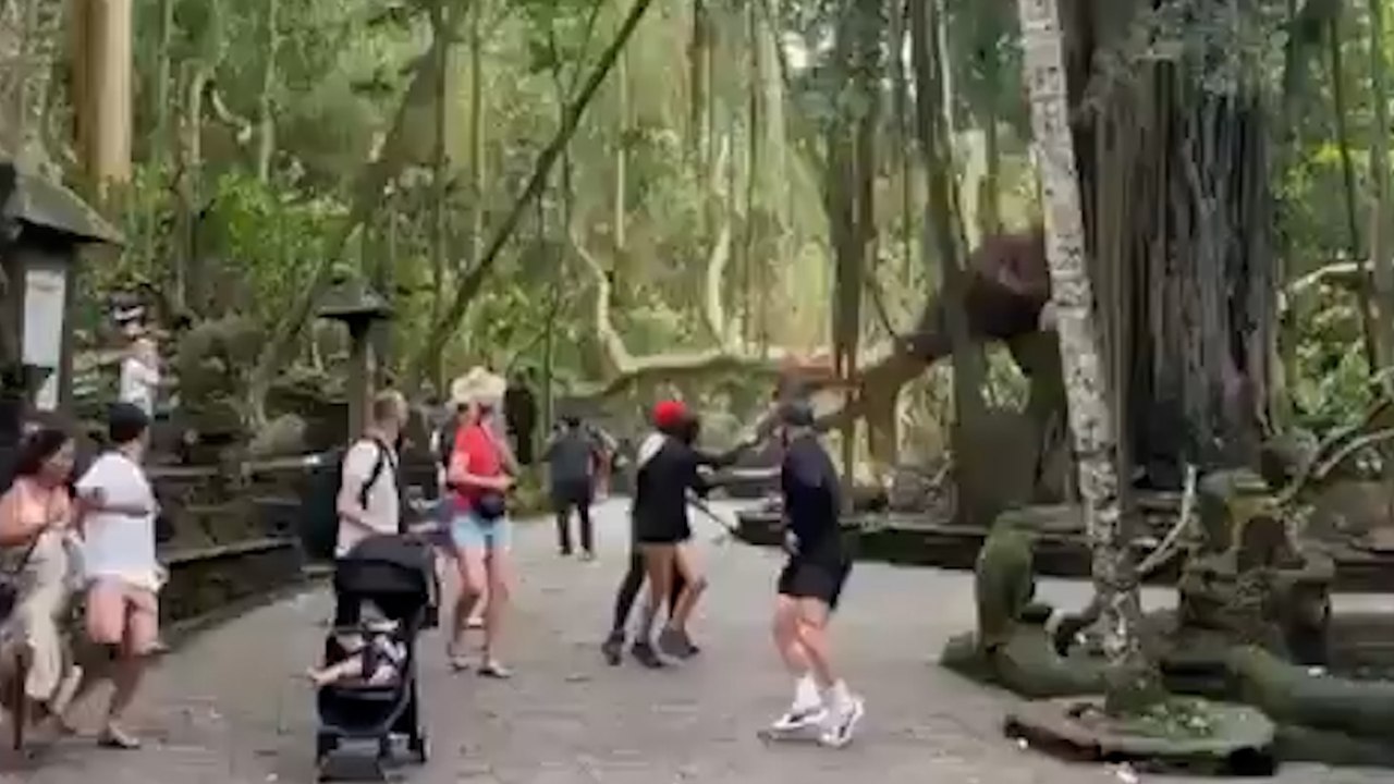 Une Française tuée par la chute d'un arbre à Bali