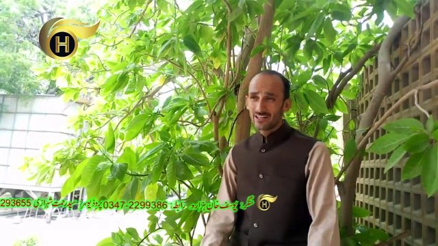 Sohnre Dildar | Yousuf Khan Hazara | Latest Hindko Song | H - Production