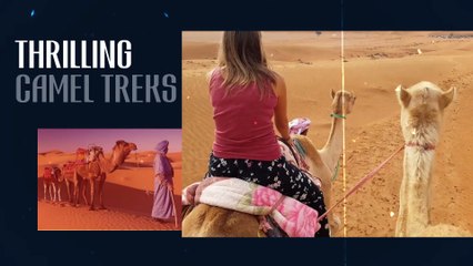 Morocco Desert Tours